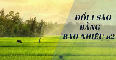 Doi 1 sao bang bao nhieu m2